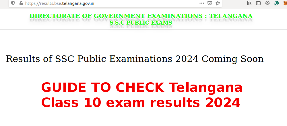 Who are the toppers Telangana 10 results 2024 announced? Check Now